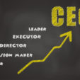 The CEO selection criteria